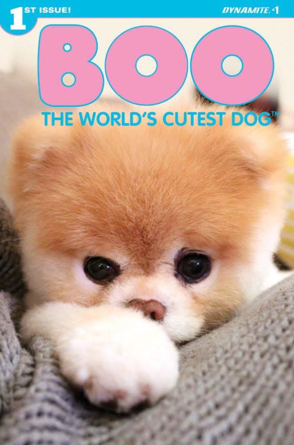 全世界最萌狗狗去世，1700萬粉絲淚奔：謝謝你，陪我度過快樂一生 寵物 第25張