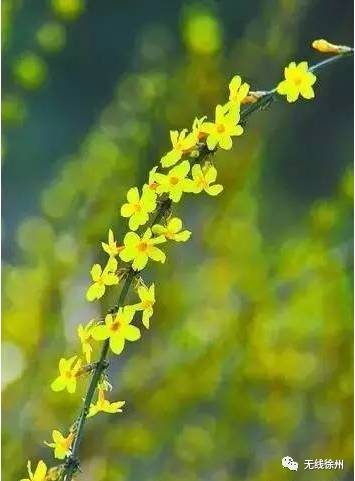 六十五年影像重现，看哭数十万师大学子