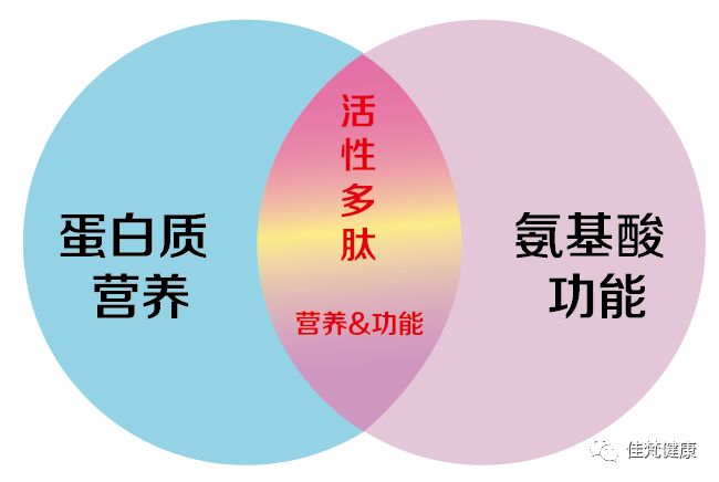 由此可见,肽是构成蛋白质的结构与功能片段,也同样是氨基酸的有序组成