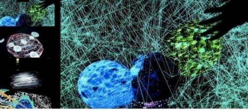 网页填表.div 取内容_c语言函数float取模_易语言取网页内容