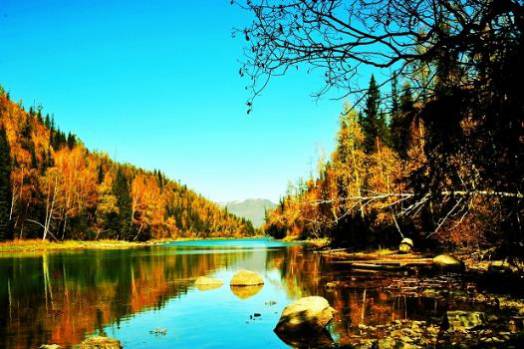 易语言取网页内容_c语言函数float取模_网页填表.div 取内容