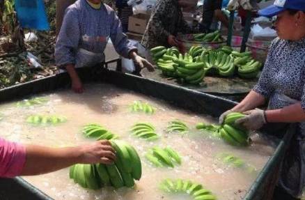 5月的这10大谣言，每一个都让人心惊肉跳！