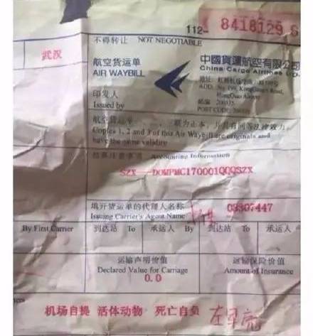 东航遇水逆！机外有大洞，机内狗死亡！| 附东航近年负面新闻盘点