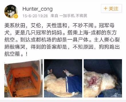 托运金毛犬疑似被重伤，舆论强烈对立只因水军搅局？