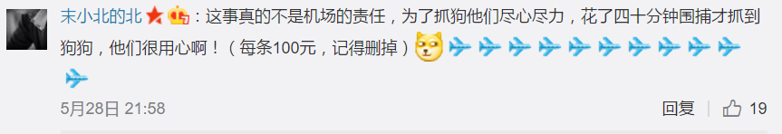 托运金毛犬疑似被重伤，舆论强烈对立只因水军搅局？
