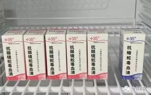 眼镜蛇血清是什么_黑曼巴蛇血清_青竹蛇血清