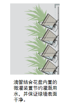 峨眉山植物介绍_植物大战僵尸2五阶植物图鉴介绍_植物介绍