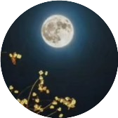 夜叔说