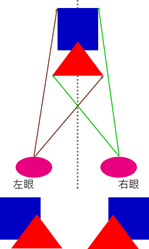 人类拥有双眼视觉的重要性