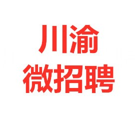 川渝微招聘