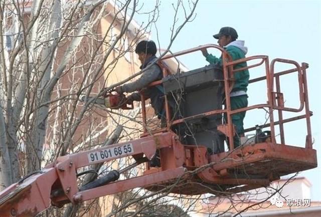 【欧浪网】西班牙有移民老板近28万  华人5万占首位