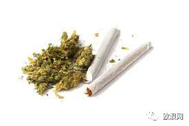 【欧浪网】西国成毒品大国 华人吸食大麻现象不可轻视