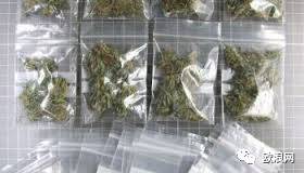 【欧浪网】糖果店店主偷偷卖大麻 不料露馅被逮捕
