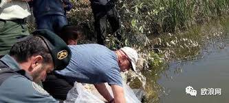 【欧浪网】旅西华人染指跨国案 幼鳗倒卖引发国际警方联合行动
