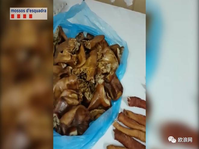 【欧浪网】伪造卫生证和标签：华人在住家做包装食品被逮捕