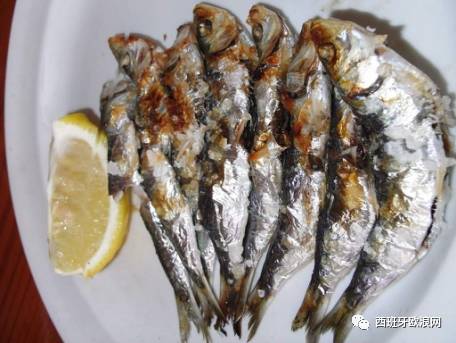 【欧浪网】每三条鱼中就有一条含寄生虫？食品安全隐患不断