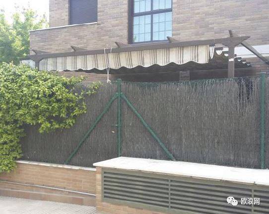 【欧浪网】瘫痪母亲与智障儿子相依为命 儿子可能活活饿死