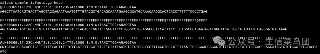 fastq文件示例
