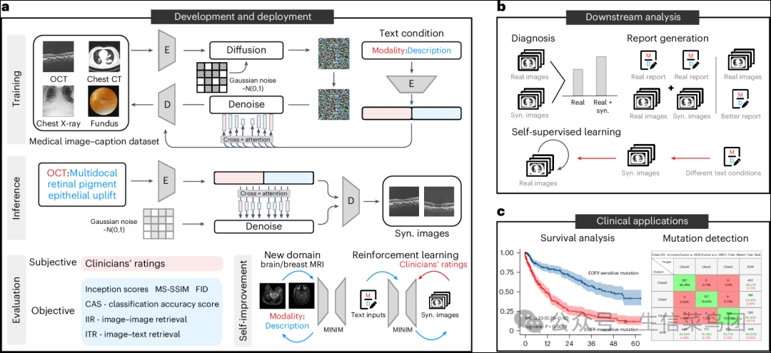 Fig__1__Schematic_illustration_of_our_generative_system_for_medical_image_synthesis_.png