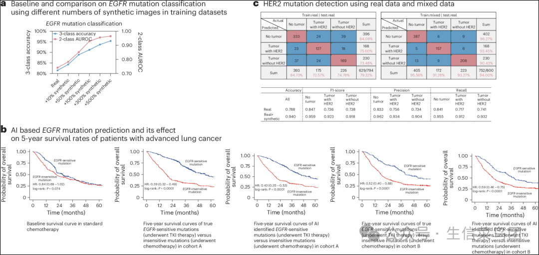 Fig__5__AI-based_mutation_prediction_performance_and_its_effect_on_5-year_survival_rates_of_patients_with_advanced_lung_cancer_.png