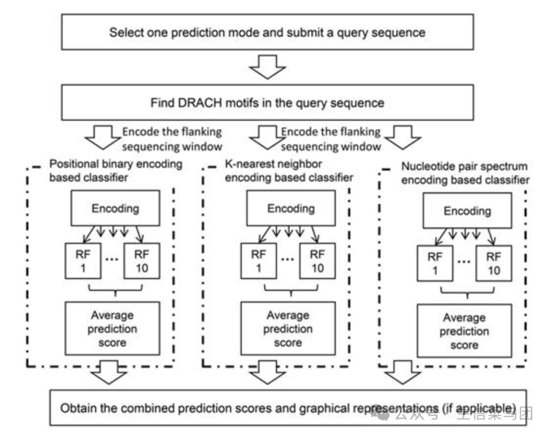 SRAMP 的计算框架