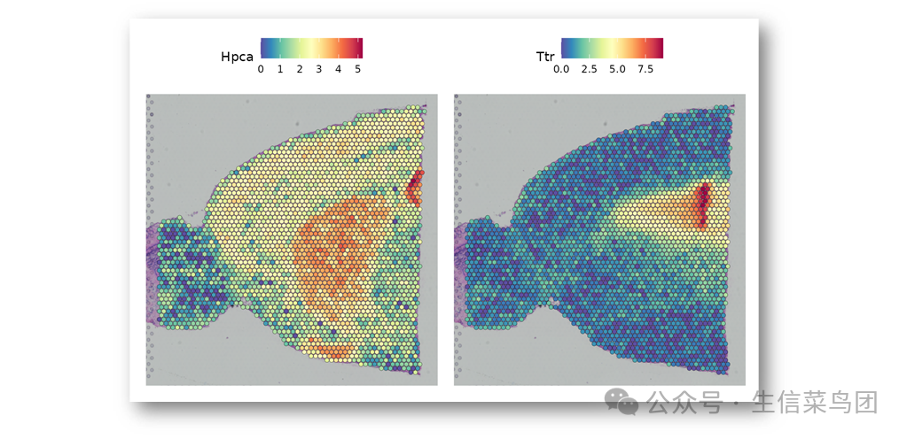 seurat spatial_vignette