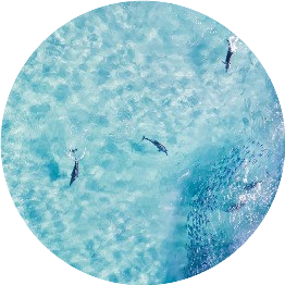 AA轻轻地我走了