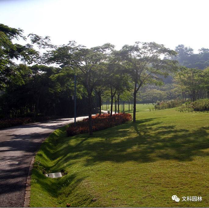 【园林设计】海绵城市建设中的植物选择与设计