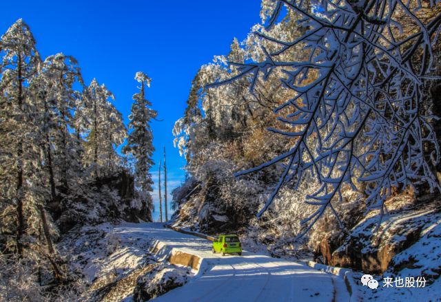 行走的风景春雪王岗坪