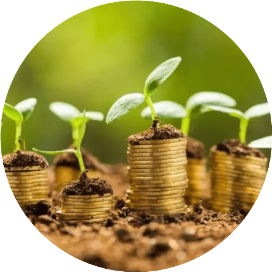 智维数字化N2025