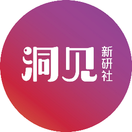 洞见新研社