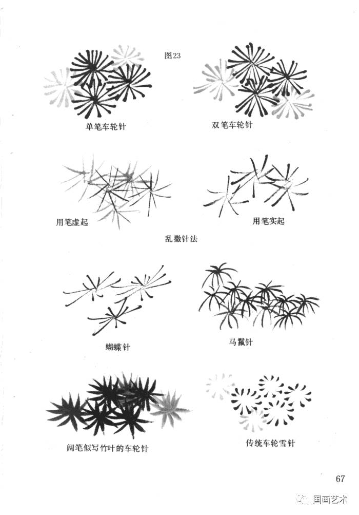 松树的画法详解(1)