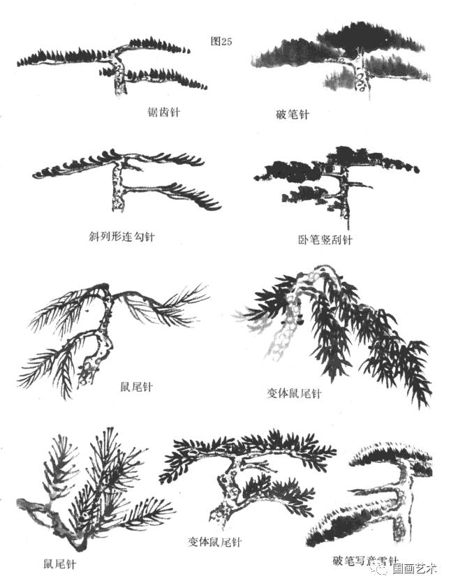 松树的画法详解(1)