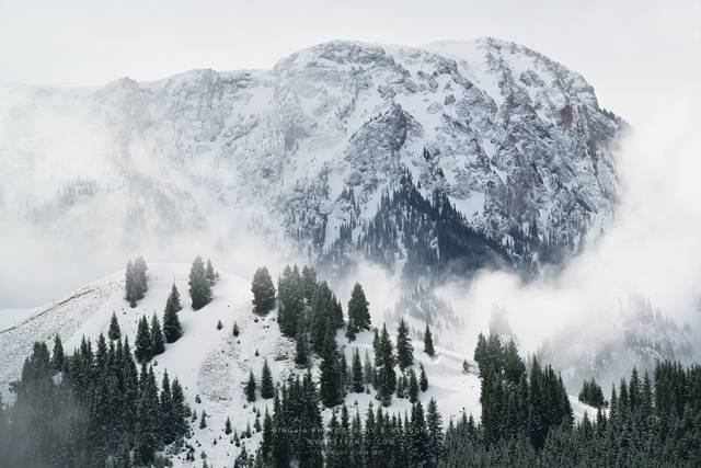 640?wx_fmt=png&wxfrom=5&wx_lazy=1