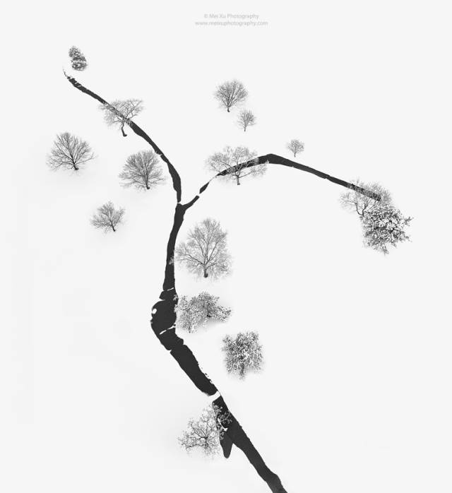 640?wx_fmt=png&wxfrom=5&wx_lazy=1