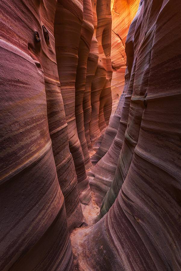 640?wx_fmt=png&wxfrom=5&wx_lazy=1