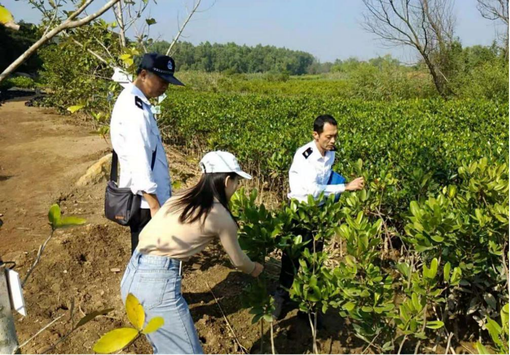 我为群众办实事①丨市自然资源局:让植物检疫服务"跑起来"