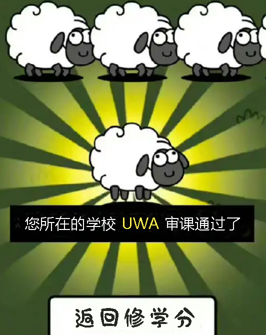 愣是没想到，玩羊了个羊，UWA竟然让我审课通过了（组图） - 1
