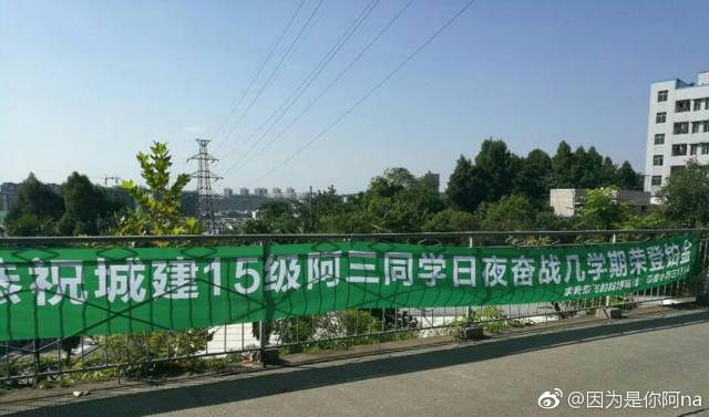 上财晚安大学校园的那些奇葩横幅笑尿了