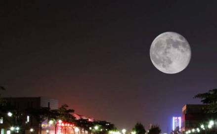 北京到上海高铁票价_北京到上海高铁今天晚点吗_上海到北京高铁