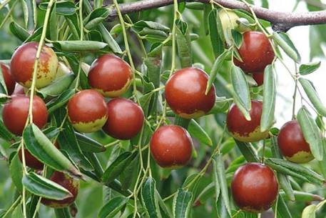 北京到上海高铁票价_上海到北京高铁_北京到上海高铁今天晚点吗