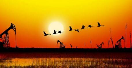 上海到北京高铁_北京到上海高铁票价_北京到上海高铁今天晚点吗