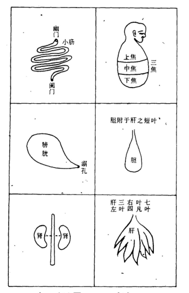 《医林改错》收录的古人所绘脏腑图(部分)