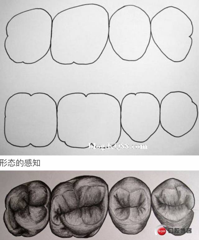 如何一步步做好牙齿充填