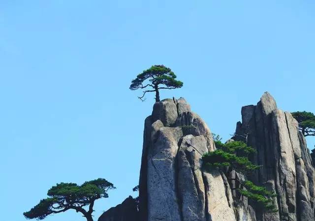 【醉美黄山】1月1日—3日两日两夜畅游四大名山之黄山