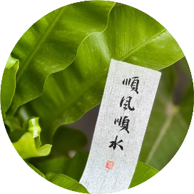 岁养一树青