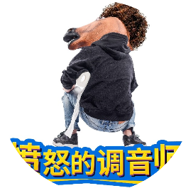 愤怒的调音师