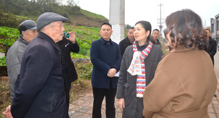 经开区党工委书记向莉率队调研北固镇龙怡小区安置推进工作