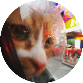 烏鴉與暴躁雅雅