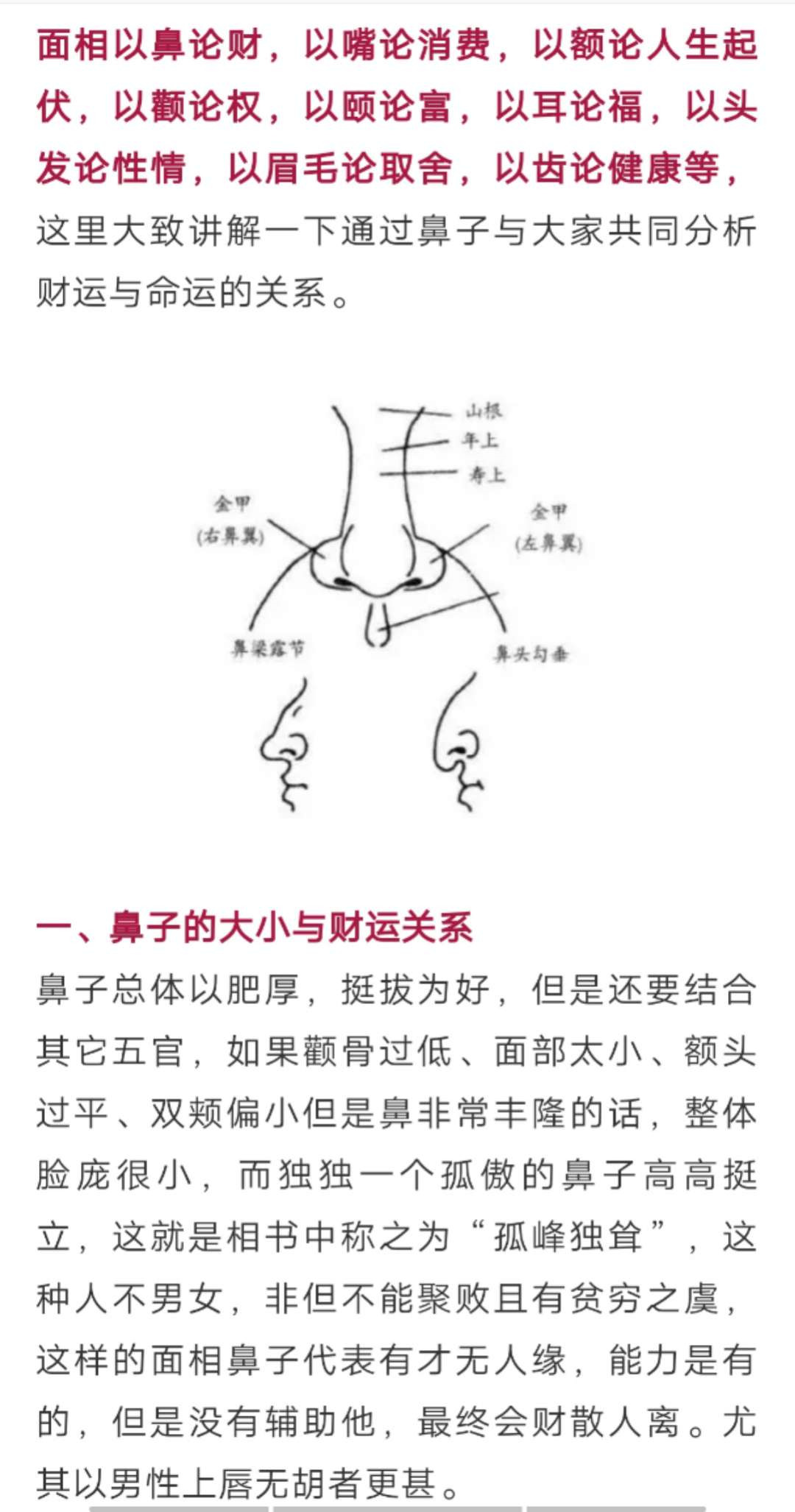 面相学 | 从鼻子看财运！